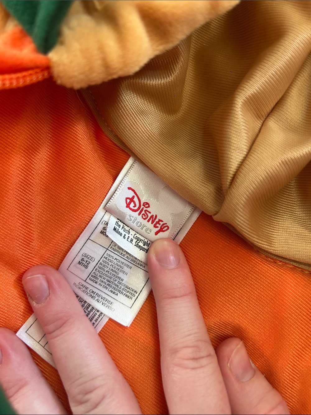 Disney Pooh Pumpkin Costume - Orange, Tan & Green - Picture 4 of 4